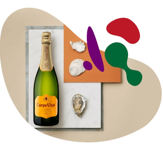 Campo Viejo Cava Brut - Spain (Glass)