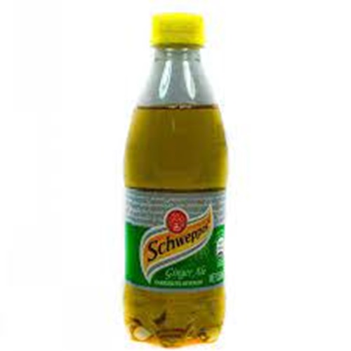 Ginger Ale  (lg)