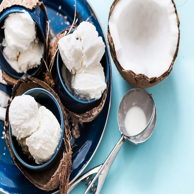 Vegan Coconut Ice Cream